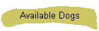Available Dogs