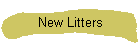 New Litters