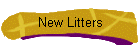New Litters