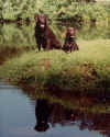 Grizz&Hanna.JPG (78385 bytes)