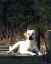 jass16months1998.JPG (40584 bytes)